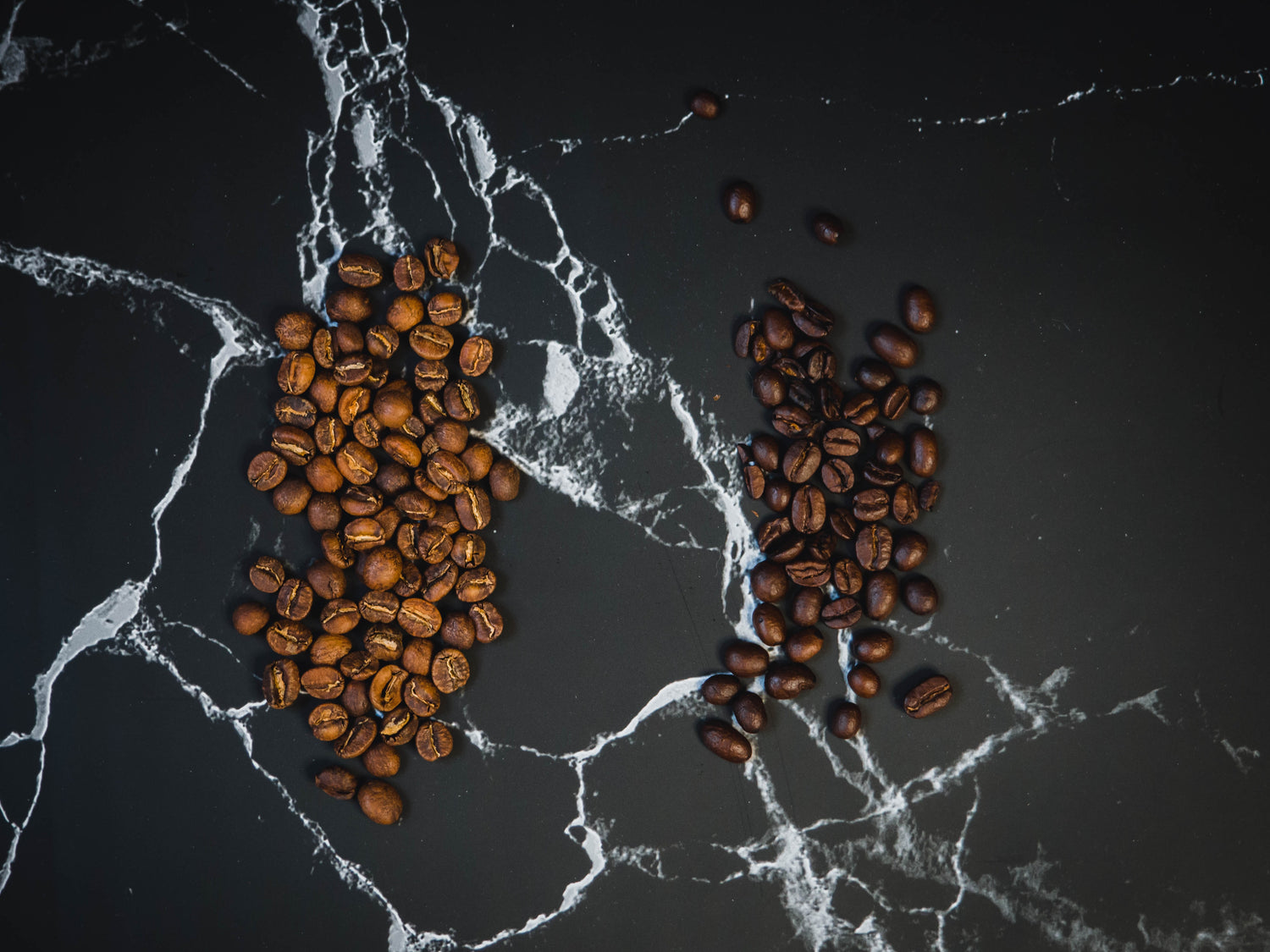 I segreti del Caffè Arabica. Tutto quello che c'è da sapere sulla specie di caffè più diffusa al mondo